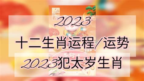 2023兔年運程1987|1987年属兔2023年本命年的运气如何，87年属兔又。